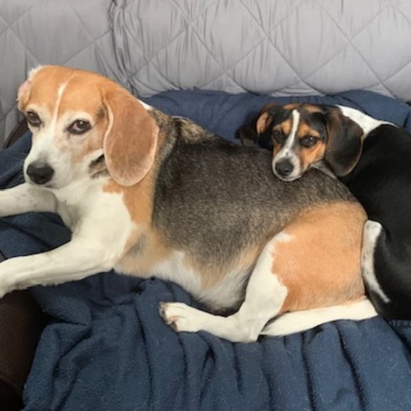 Meet your Posher, Kelly - Picture 1 of 2